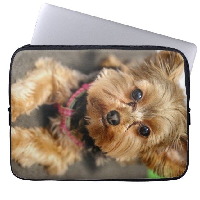 Adorable Laptop Sleeve (Front)