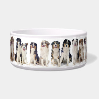 Adorable Large Bowl for the Australian Shepherd.