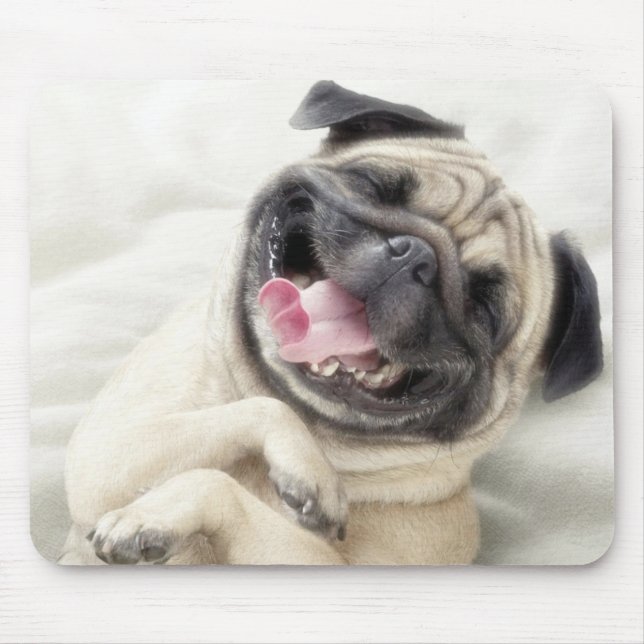 Adorable Laughing Pug design Mouse Mat (Front)