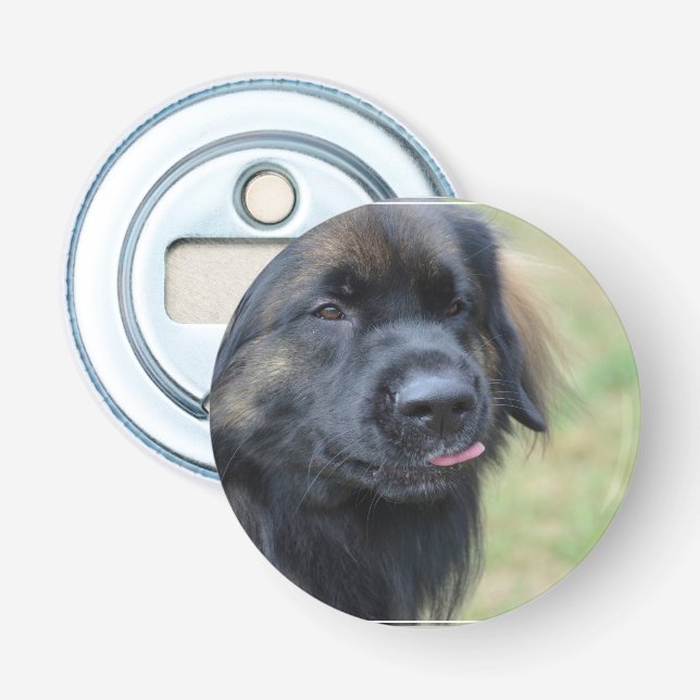 Adorable Leonberger Bottle Opener (Front)
