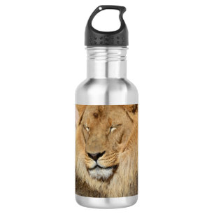 Adorable Lion 532 Ml Water Bottle