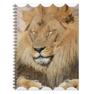 Adorable Lion Notebook