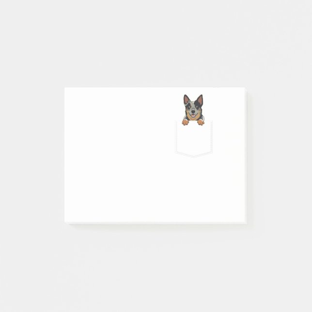 Adorable Little Australian Cattle Dog In The Pocke Post-it Notes (Front)