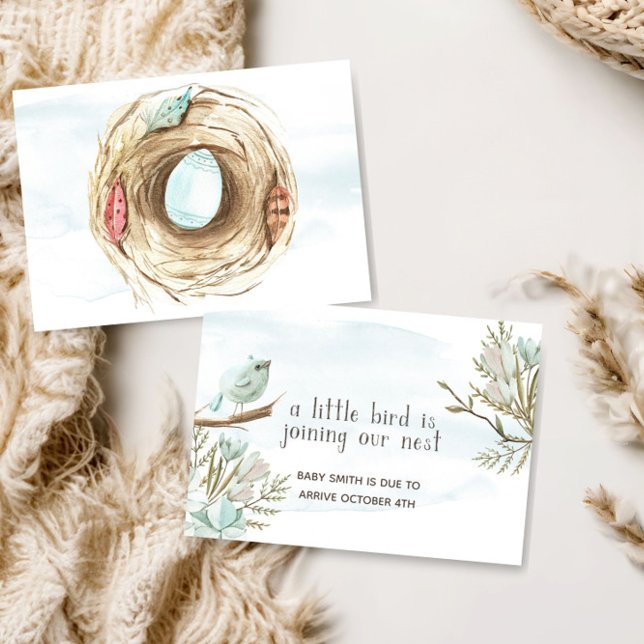 Adorable Little Bird Baby Pregnancy Announcement (Creator Uploaded)