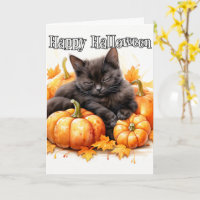 Adorable Little Napping Black Cat | Halloween