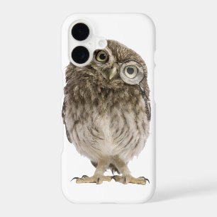 Adorable little owl wearing magnifying glass