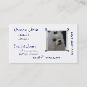 Adorable Maltese Business Card