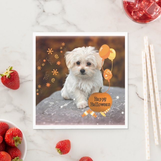 Adorable Maltese Puppy Celebrates Halloween Napkin (Insitu)