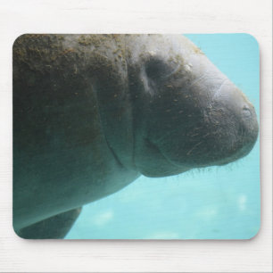 Adorable Manatee Swimming Mouse Mat