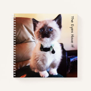 Adorable Masked Blue Eyed Siamese Kitten Photo Notebook