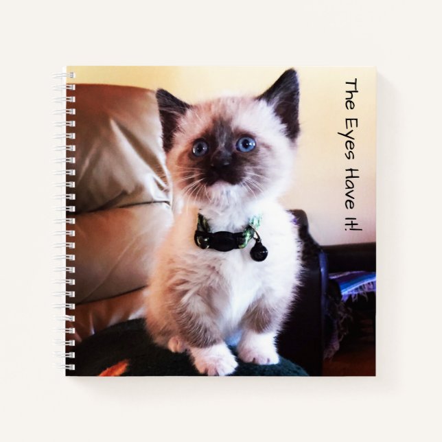 Adorable Masked Blue Eyed Siamese Kitten Photo Notebook (Front)