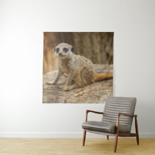 Adorable Meerkat Baby Tapestry
