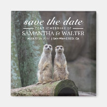 Adorable Meerkats Save The Date
