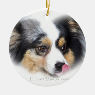 Adorable Mini Aussie Gift Assortment Ceramic Tree Decoration