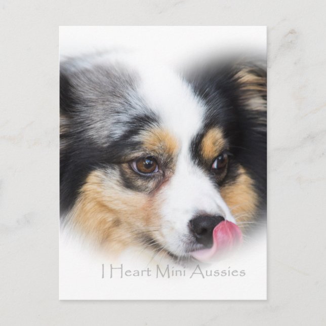 Adorable Mini Aussie Gift Assortment Postcard (Front)
