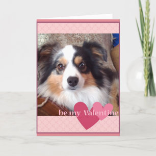 adorable MinI Australian Shepherd Valentines Card