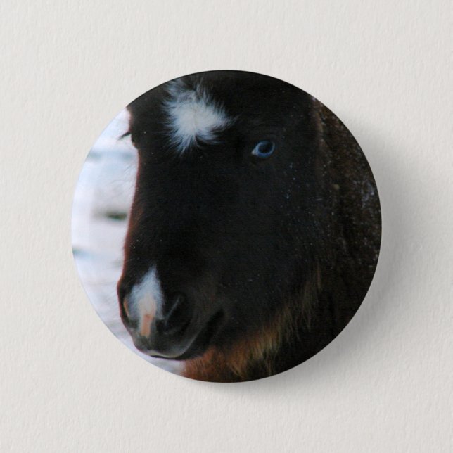 Adorable Mini Horse Filly 6 Cm Round Badge (Front)