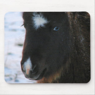Adorable Mini Horse Filly Mouse Mat