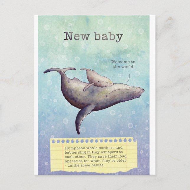 Adorable mother and baby whale. New baby card. Announcement Postcard (Front)