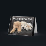 ADORABLE NAPPING PUPS WISH "YOU HAPPY BIRTHDAY" CA CARD<br><div class="desc">WHAT A NICE WAY TO LET FAMILY AND FRIENDS KNOW THAT "YOU ARE THINKING OF THEM" ON THEIR ***ANNIVERSARY***!
THANKS FOR STOPPING BY 1 OF MY 8 STORES!!!!</div>