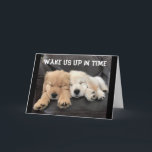 ADORABLE NAPPING PUPS WISH "YOU HAPPY BIRTHDAY" CA CARD<br><div class="desc">WHAT A NICE WAY TO LET FAMILY AND FRIENDS KNOW THAT "YOU ARE THINKING OF THEM" ON THEIR ***ANNIVERSARY***!
THANKS FOR STOPPING BY 1 OF MY 8 STORES!!!!</div>