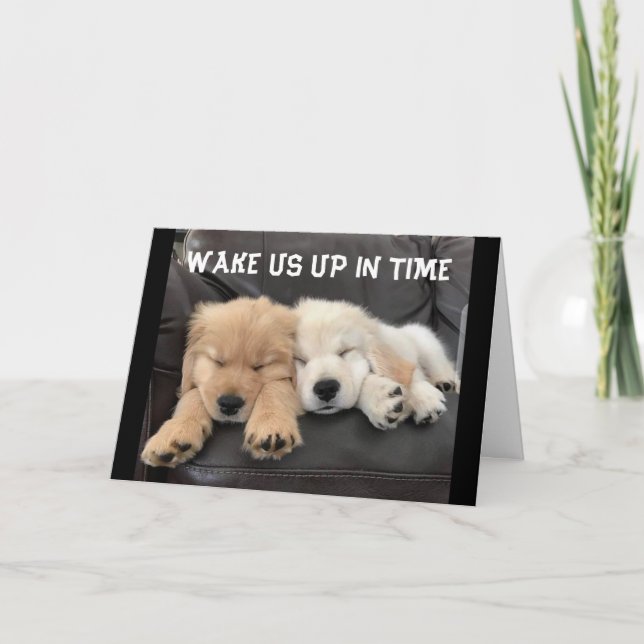 ADORABLE NAPPING PUPS WISH "YOU HAPPY BIRTHDAY" CA CARD (Front)