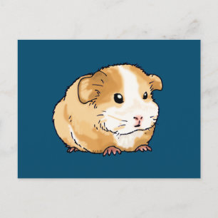 adorable new guinea pig postcard