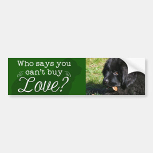 Adorable Newfie Bumper Sticker! Bumper Sticker