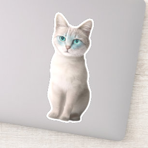 Adorable Ojos Azules Cat Sticker - Customisable