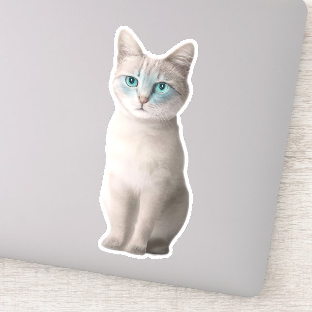 Adorable Ojos Azules Cat Sticker - Customisable (Detail)