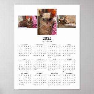 Adorable Orange Tabby Cat Ginger 2025 Calendar  Poster