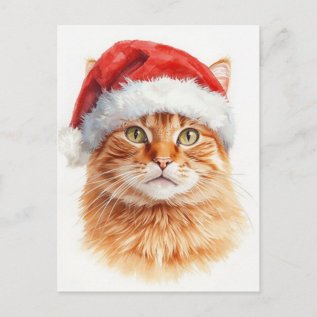 Adorable Orange Tabby Cat in Santa Hat Holiday Postcard (Front)