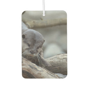 Adorable Otter Car Air Freshener