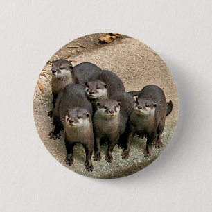 Adorable Otter Family 6 Cm Round Badge
