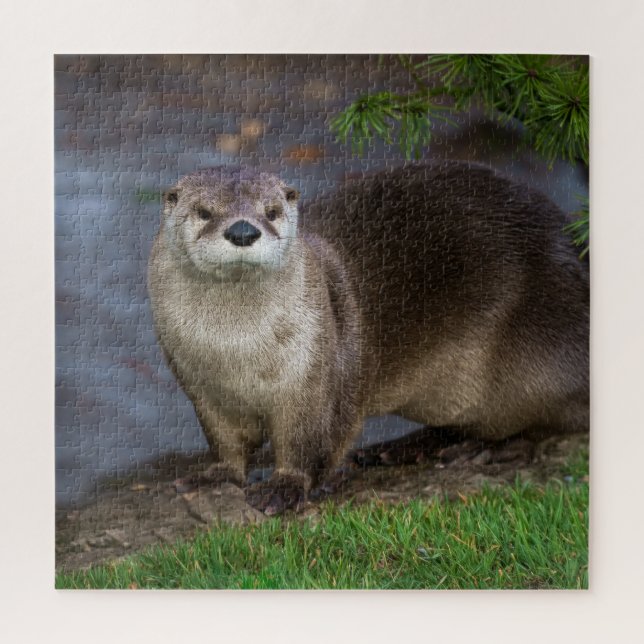 Adorable Otter on the Riverbank Jigsaw Puzzle (Vertical)