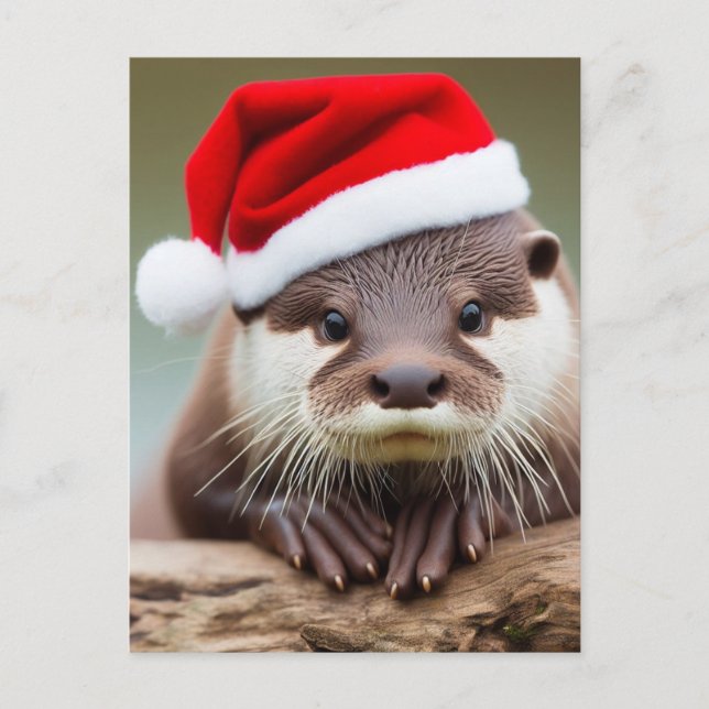Adorable Otter Santa Hat Postcard (Front)