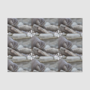 Adorable Otter Tissue Paper