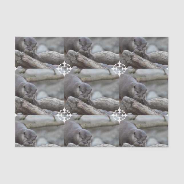 Adorable Otter Tissue Paper (Front)