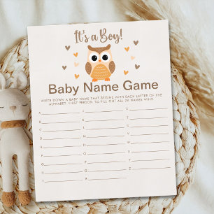 Adorable Owl Baby Shower Boy