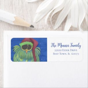 Adorable Owl with Santa Hat