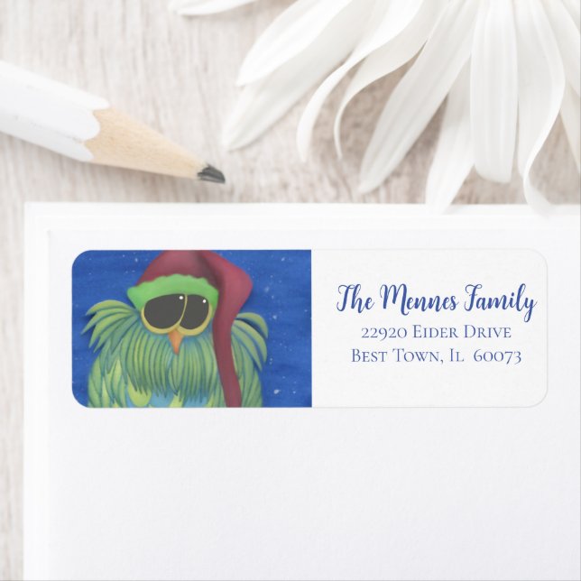 Adorable Owl with Santa Hat (Insitu)