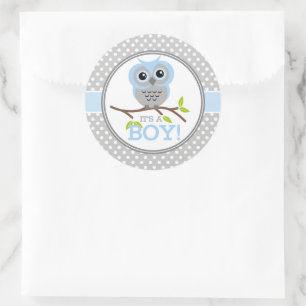 Adorable Owls Its a Boy Classic Round Sticker