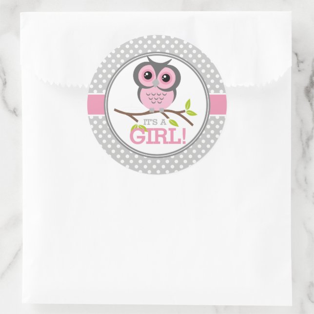 Adorable Owls Its a Girl Classic Round Sticker (Bag)