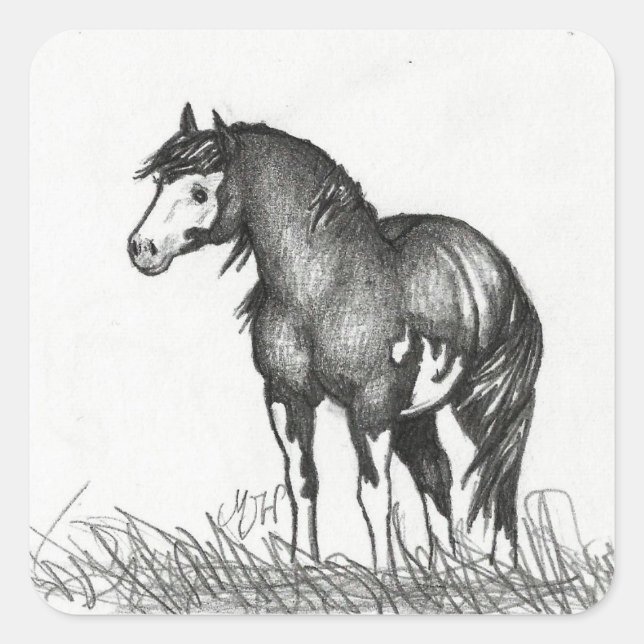 Adorable Paint Horse Stickers (Front)