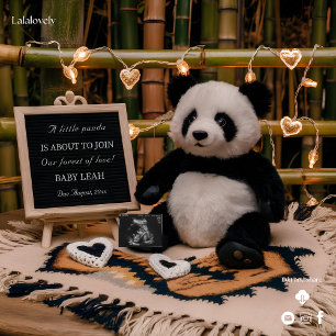 Adorable Panda Plushie  Pregnancy Announcement