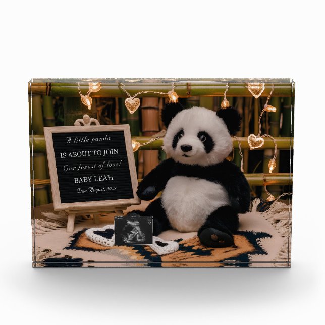 Adorable Panda Plushie  Pregnancy Announcement Photo Block (Front)