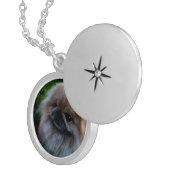 Adorable Pekingese Puppy Locket Necklace (Front Right)