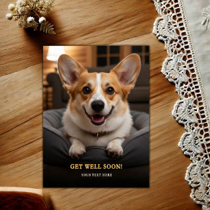 Adorable Pembroke Welsh Corgi Get Well Postcard