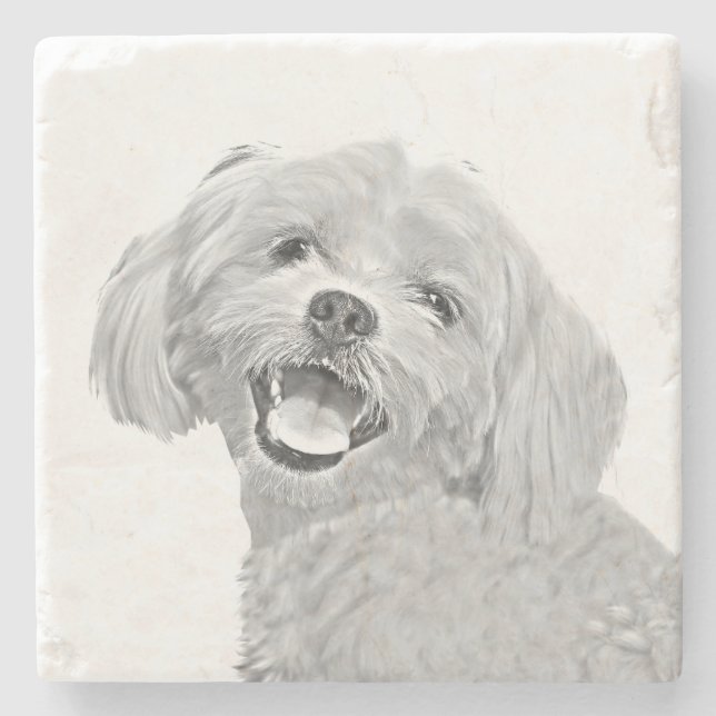 Adorable Pencil Maltese Dog Marble Stone Coaster (Front)
