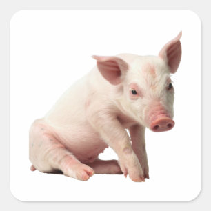 Adorable Piglet Sticker